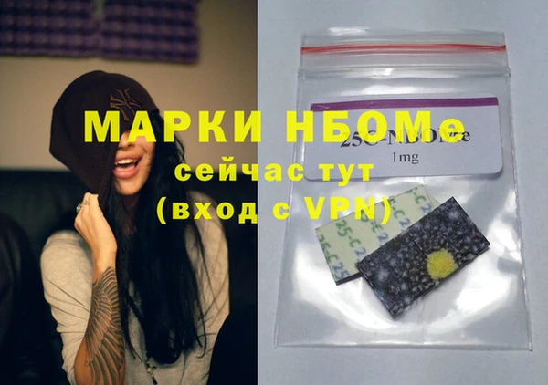 гидра Новодвинск