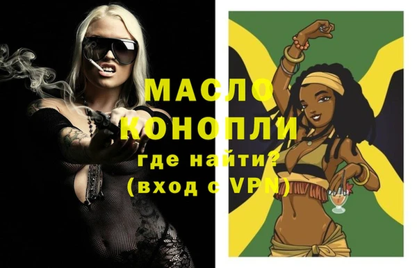 гидра Новодвинск