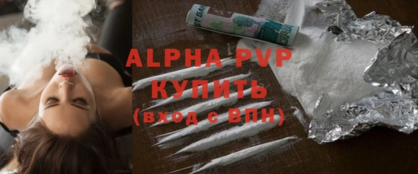 гидра Новодвинск