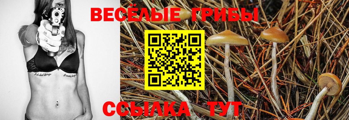 Псилоцибиновые грибы MAGIC MUSHROOMS Переславль-Залесский