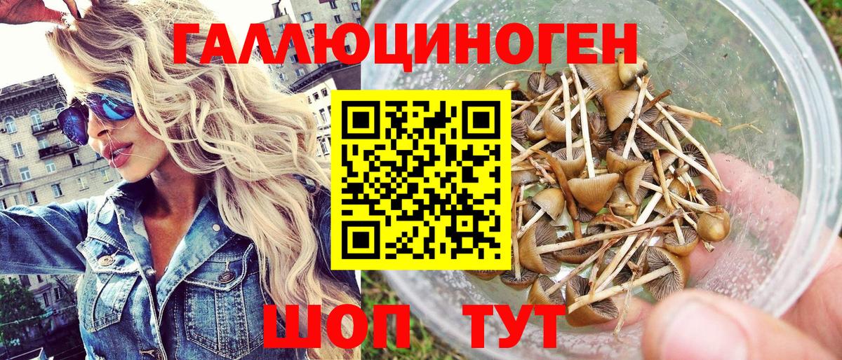 наркота  Псилоцибиновые грибы Magic Shrooms  Вход с VPN  Переславль-Залесский 